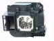 small_image_label-101241-62510