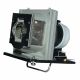 NPX3000LAMP TEKLAMPS Compatible lamp for SAVILLE AV projectors