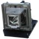 PANASONIC PT-AR100E Original Inside Projector Lamp - Replaces ET-LAA410