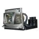 INFOCUS C350 Original Inside Projector Lamp - Replaces SP-LAMP-034
