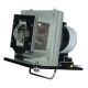 OPTOMA HD72 Original Inside Projector Lamp - Replaces BL-FU220A / SP.83F01G.001