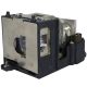 Genuine EIKI EIP-3000N Projector Lamp - AH-66271 / AN-XR10LP