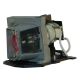 BL-FU185A / SP.8EH01GC01 Projector Lamp for OPTOMA DX319
