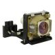 BENQ PB7105 Original Inside Projector Lamp - Replaces 59.J8401.CG1