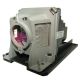 NP13LP / 60002853 Projector Lamp for NEC NP216