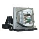 OPTOMA DAEPTLS Original Inside Projector Lamp - Replaces BL-FU260A / SP.87S01GC01