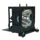 SONY VPL-VW50 Projector Lamp