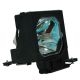 SONY VPL-PX21 Original Inside Projector Lamp - Replaces LMP-P201