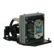 OPTOMA DV10 Original Inside Projector Lamp - Replaces BL-FP200B / SP.81R01G.001