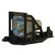 SP-LAMP-007 Projector Lamp for INFOCUS LP250