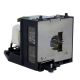 Genuine SHARP PG-MB66X Projector Lamp - AN-XR20L2