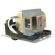 PROXIMA A1300 Original Inside Projector Lamp - Replaces SP-LAMP-039