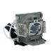 9E.08001.001 Projector Lamp for BENQ MP511+