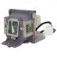 Genuine ACER X1130 Projector Lamp - EC.J9000.001