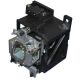 SIM2 M80 Original Inside Projector Lamp - Replaces Z933791630
