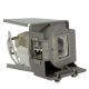 Genuine INFOCUS IN125 Projector Lamp - SP-LAMP-070