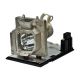 OPTOMA THEMESCENE HD808 Original Inside Projector Lamp - Replaces BL-FU220D / SP.8AF01GC01