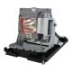 Genuine EIKI EIP-X5500 Projector Lamp - 5811118436-SEK