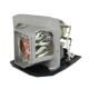 SP.8VC01GC01 / BL-FU190E Projector Lamp for OPTOMA HD131Xe