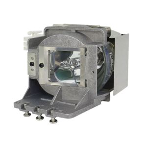 JVC LX-D350 Projector Lamp